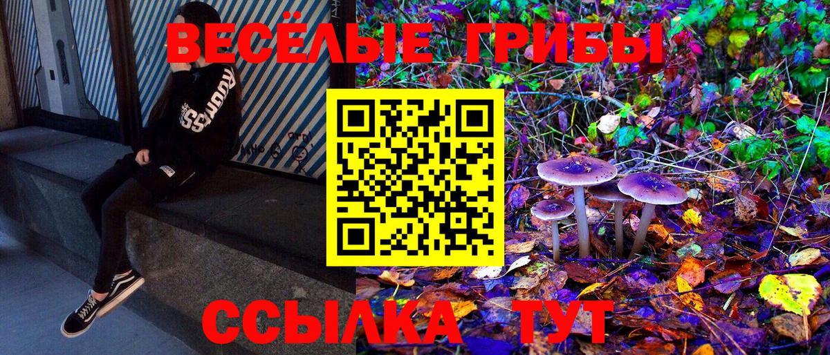 Галлюциногенные грибы Psilocybe Вичуга